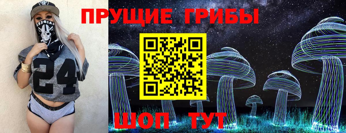 Псилоцибиновые грибы мицелий  Псилоцибиновые грибы GOLDEN TEACHER  Фурманов  Вход с VPN 